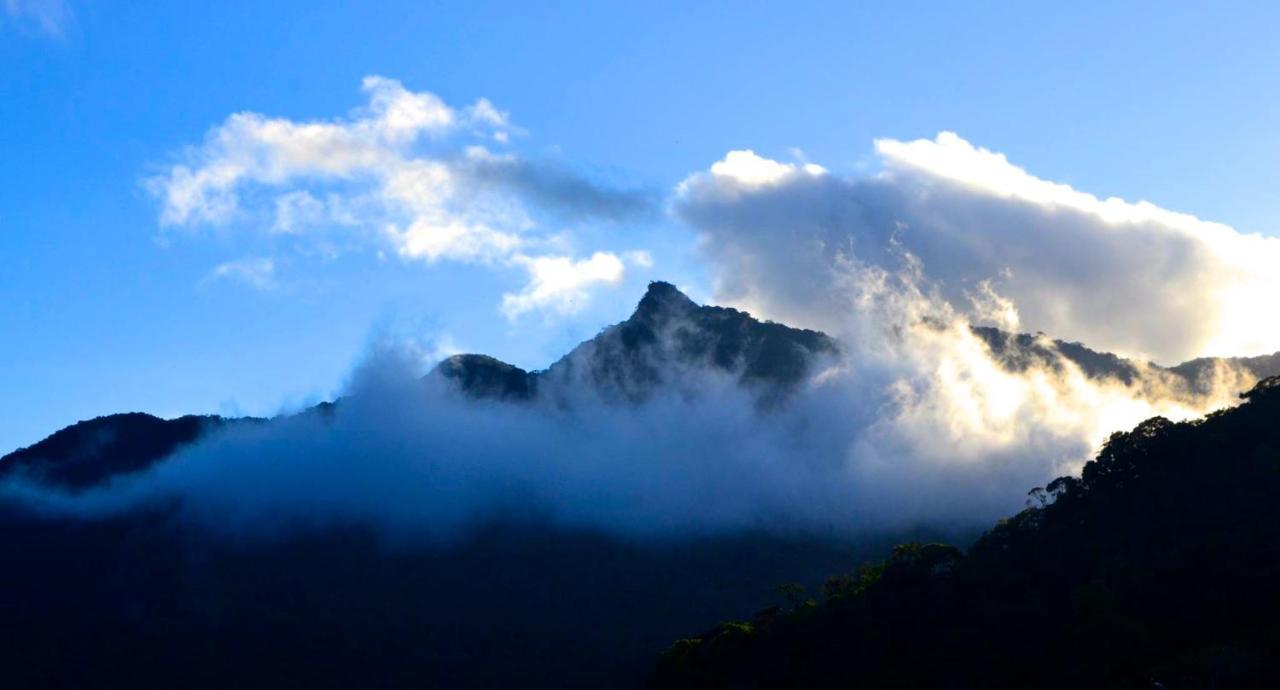 Casa Da Floresta Pico Da Aguia ปาราตี ภายนอก รูปภาพ