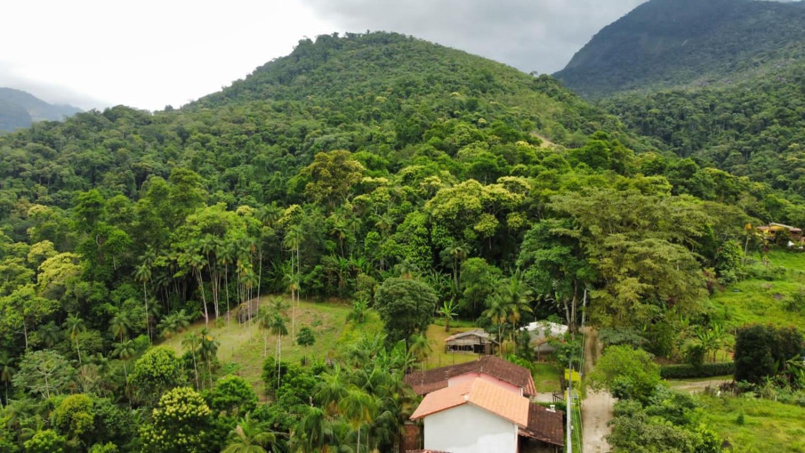 Casa Da Floresta Pico Da Aguia ปาราตี ภายนอก รูปภาพ