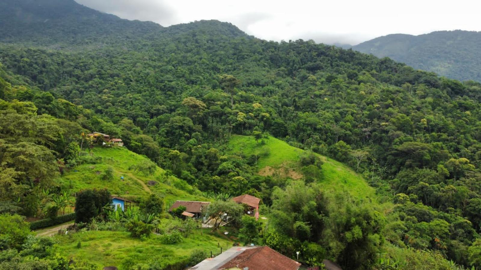 Casa Da Floresta Pico Da Aguia ปาราตี ภายนอก รูปภาพ