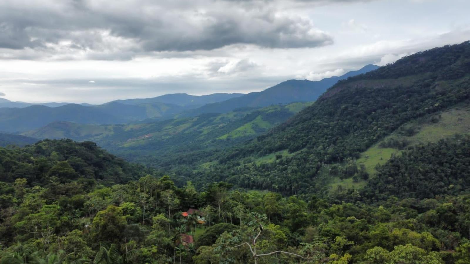 Casa Da Floresta Pico Da Aguia ปาราตี ภายนอก รูปภาพ