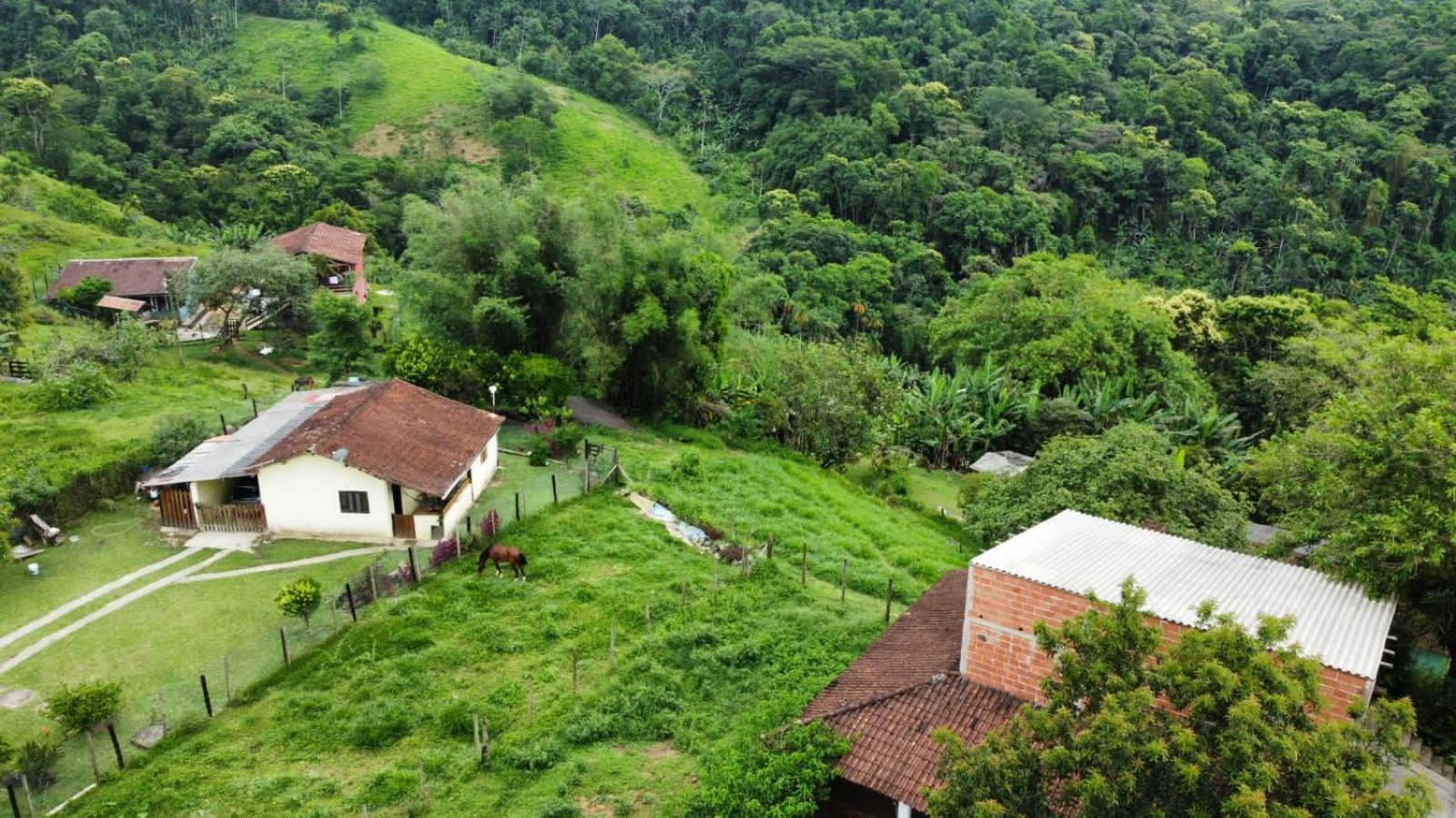 Casa Da Floresta Pico Da Aguia ปาราตี ภายนอก รูปภาพ
