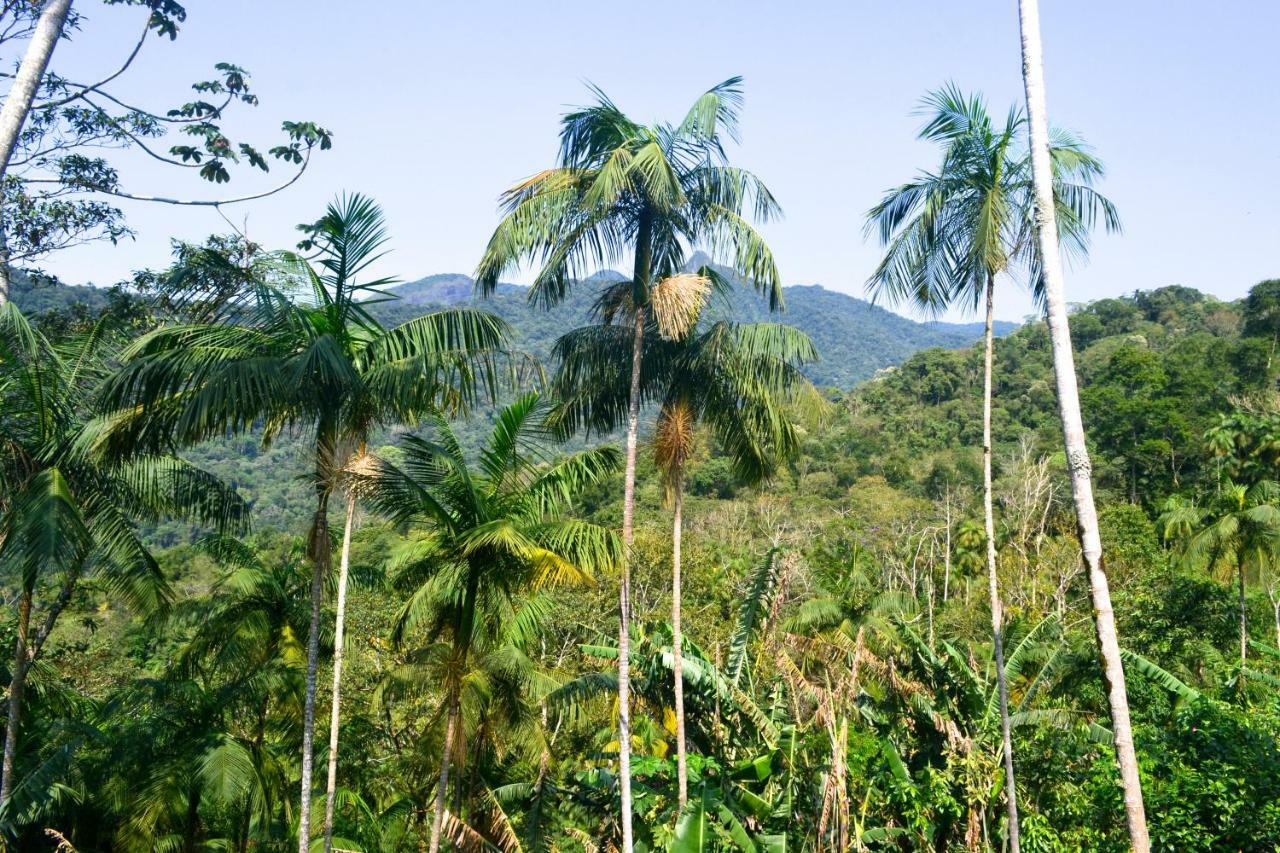 Casa Da Floresta Pico Da Aguia ปาราตี ภายนอก รูปภาพ